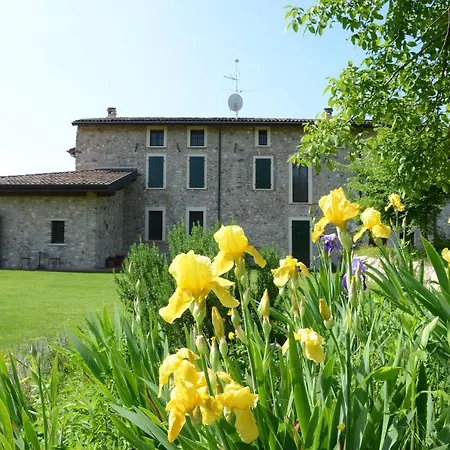 I Barbasse Primavera *