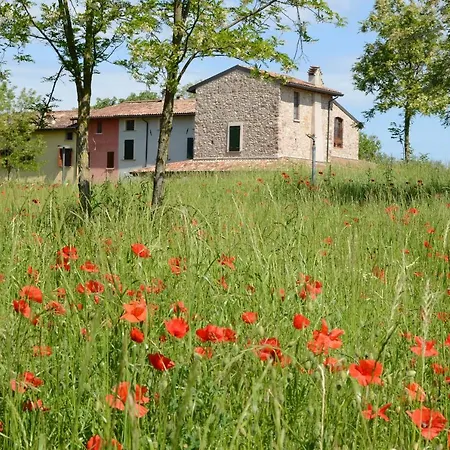 I Barbasse Primavera * Monzambano